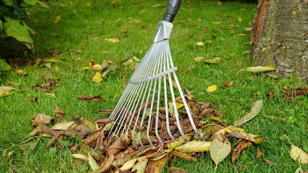 Laub im Garten: Wie es sich effektiv nutzen lsst | Landlust
