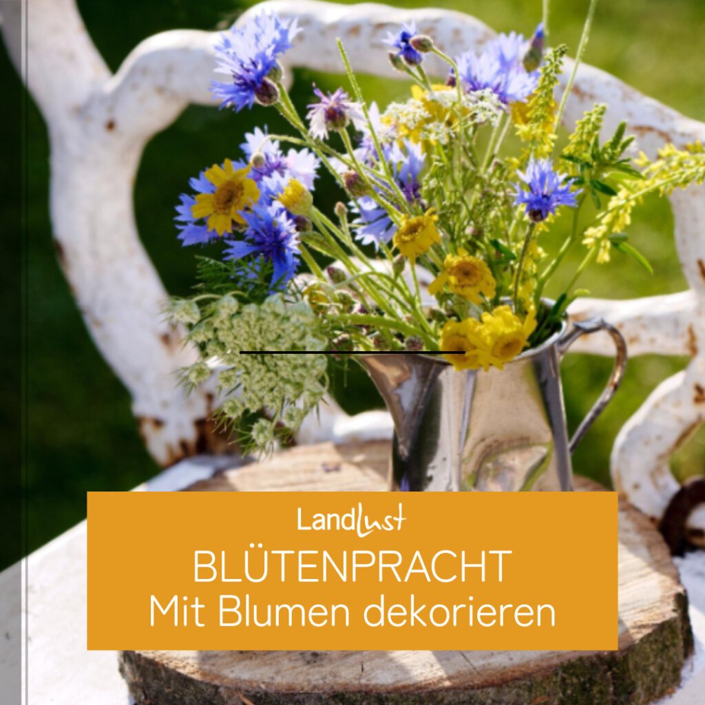 Blütenpracht: Mit Blumen dekorieren