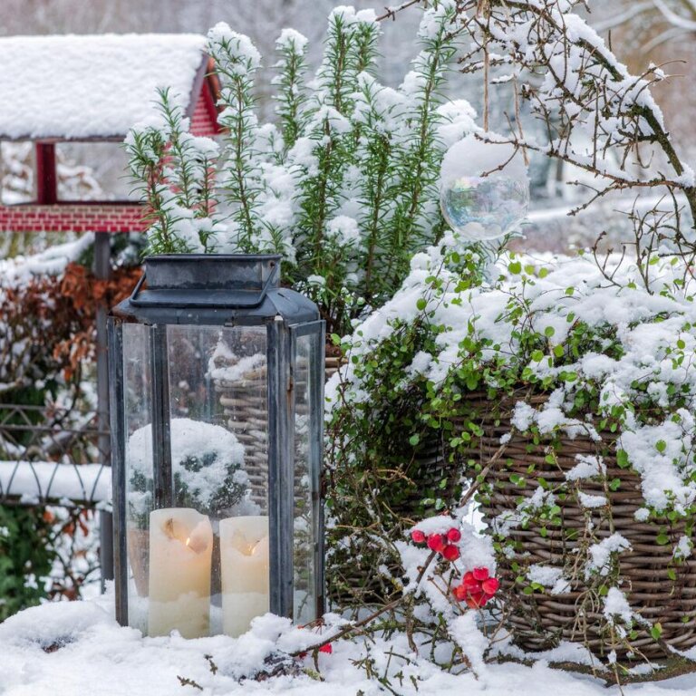 Schnee und Kerzen machen den Garten zur Weihnachtszeit stimmungsvoll.