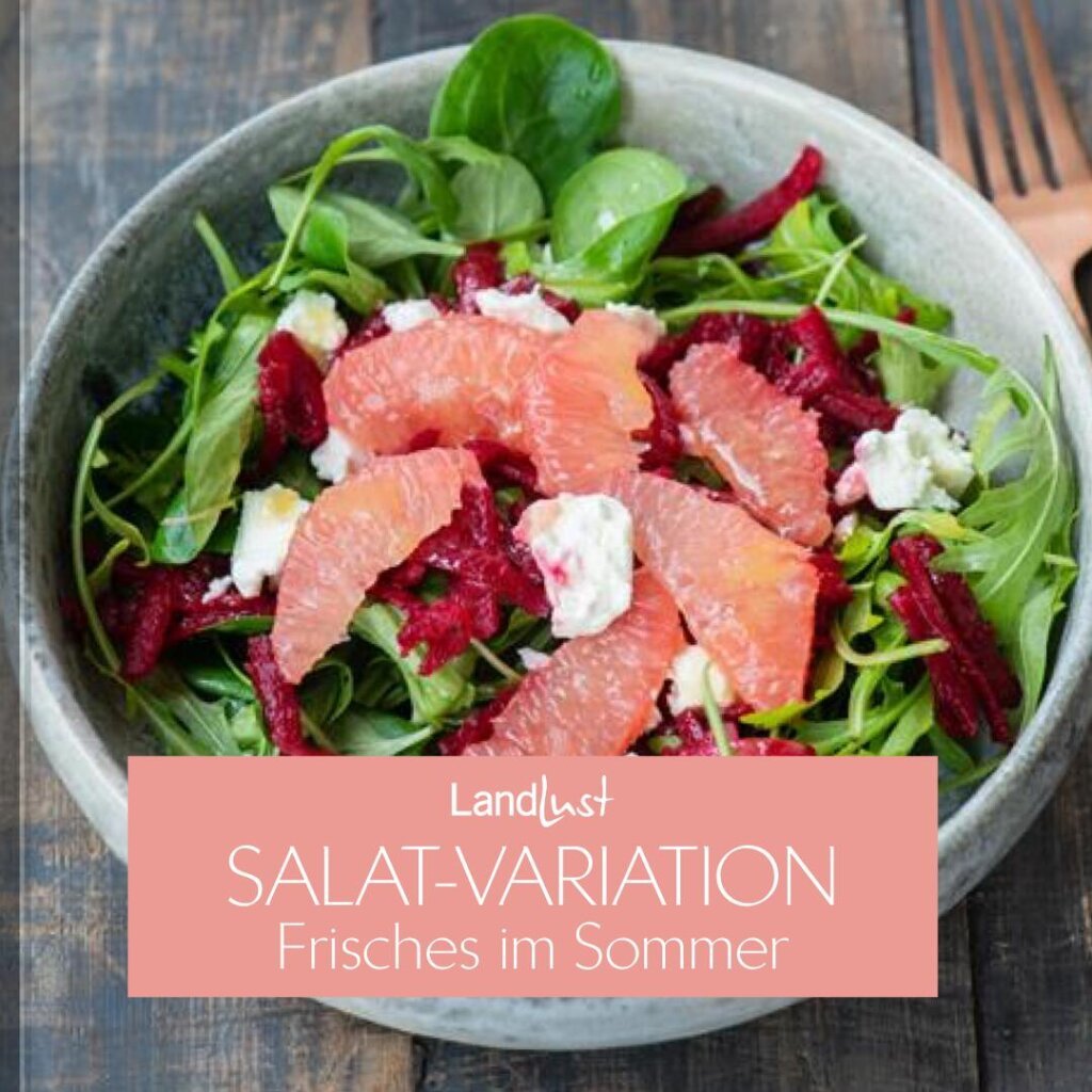 Salat-Variation - Frisches im Sommer
