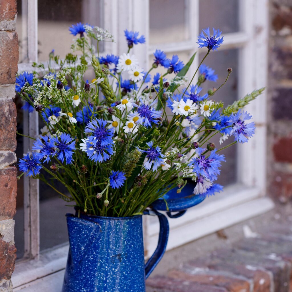 Blütenpracht: Mit Blumen dekorieren