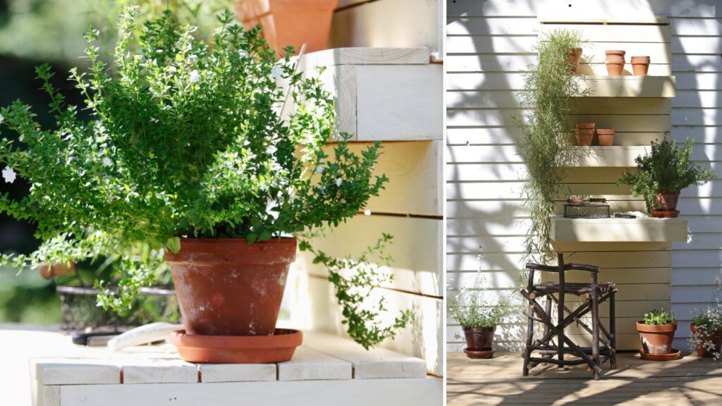 DIY-Idee: Praktisches Holzregal für den Balkon