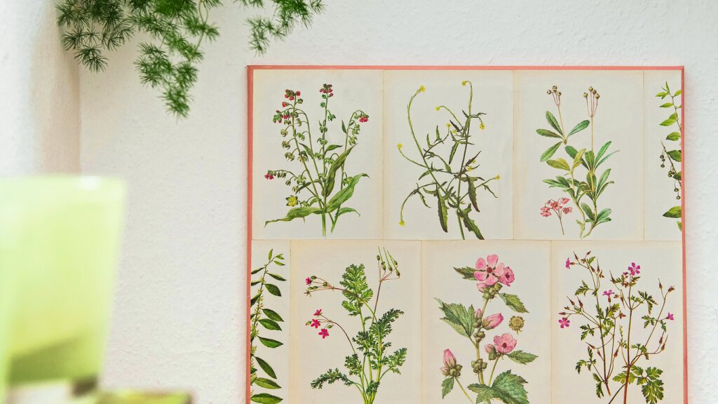 Wandbild aus botanischen Drucken