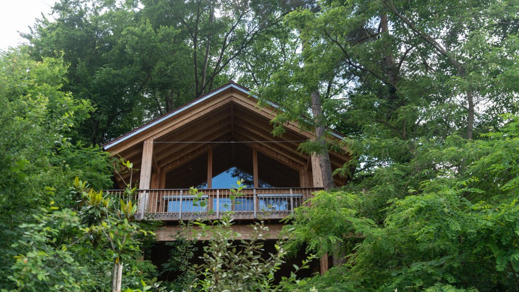 Baumhaus in der Pfalz im Wald